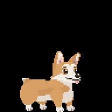 MysteryCorgi